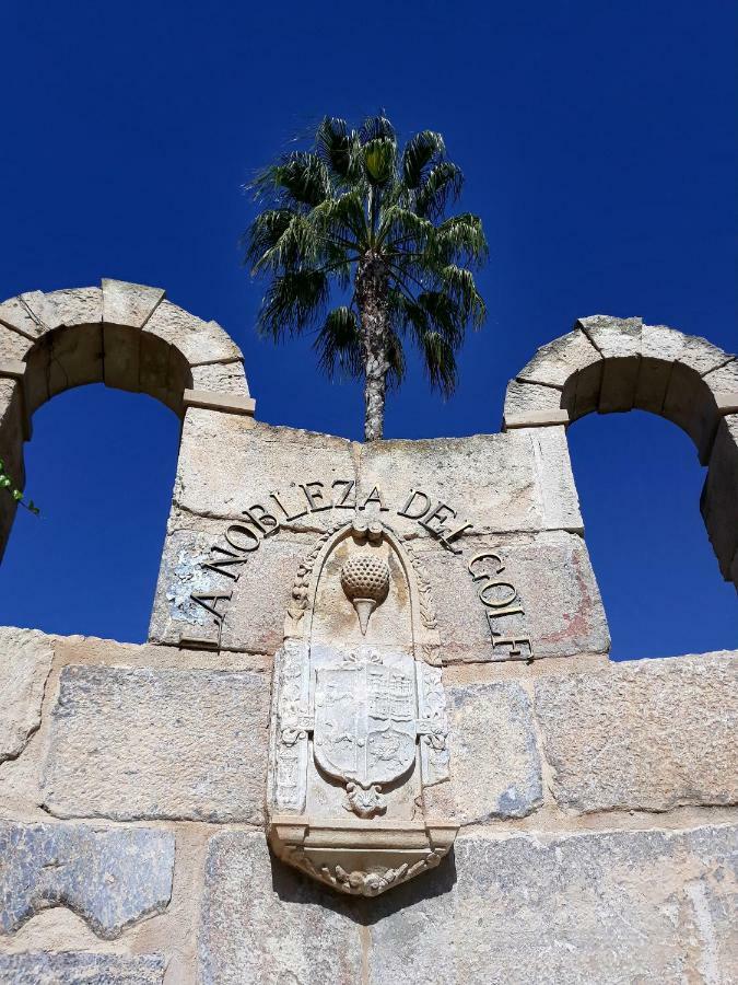 Fabulous Detached Large Villa 5 Bedrooms 3 Bathrooms Backing Onto Villamartin Golf Course Bagian luar foto